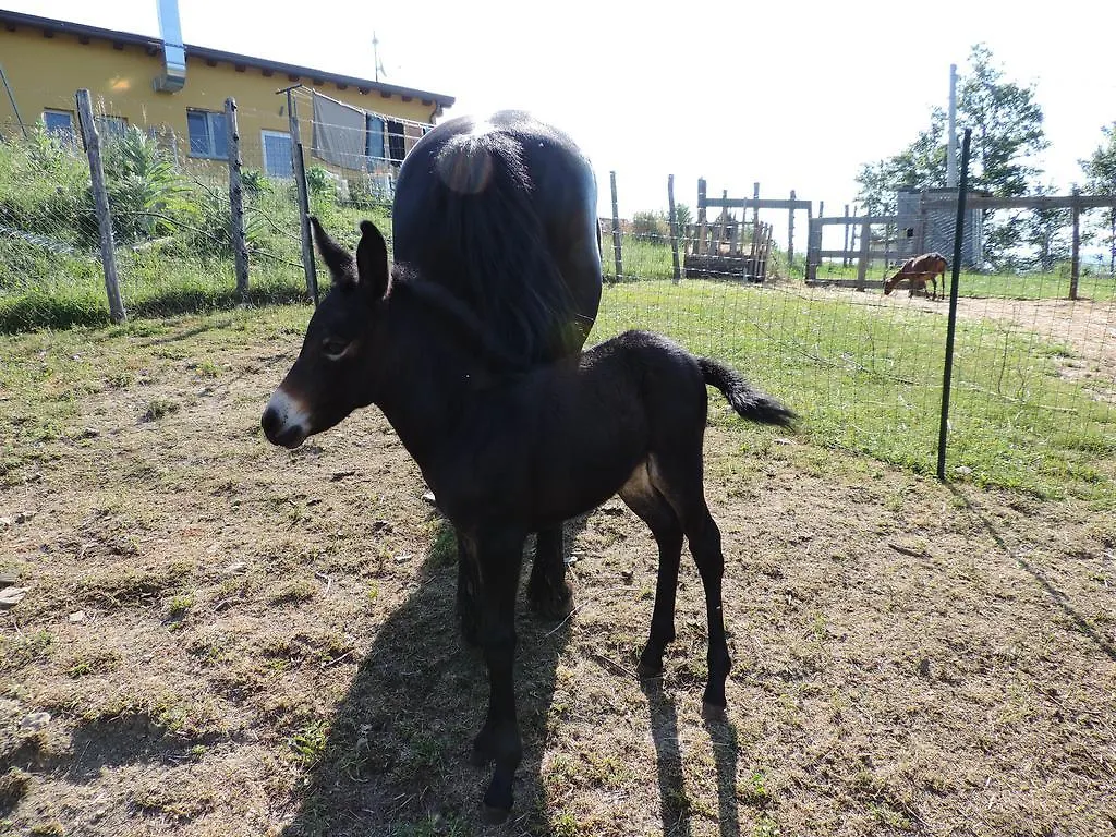 Villa Società Agricola Cacigolara à Borgo Val di Taro Séjour à la ferme