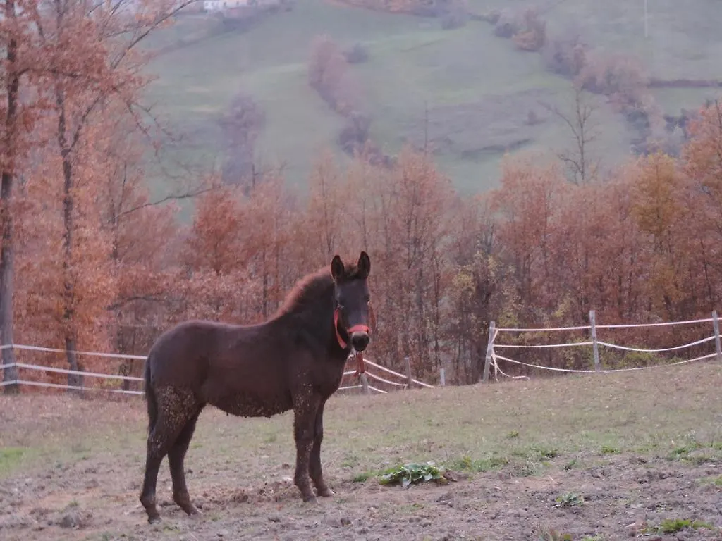 Séjour à la ferme Villa Società Agricola Cacigolara à Borgo Val di Taro