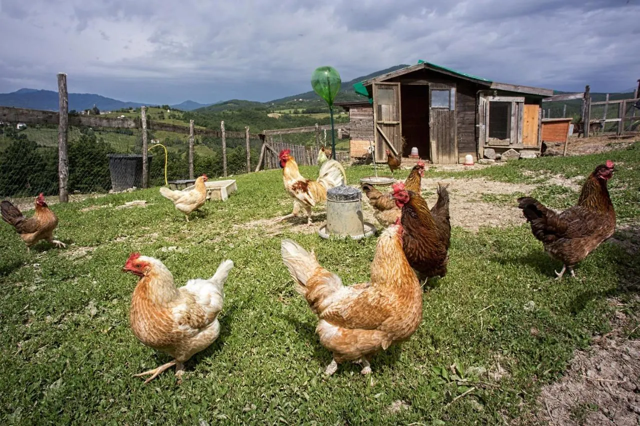 Séjour à la ferme Villa Società Agricola Cacigolara à Borgo Val di Taro Italie